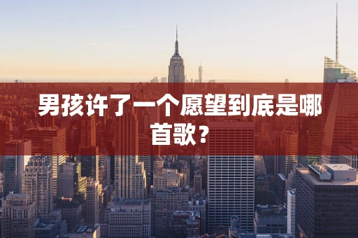 男孩许了一个愿望到底是哪首歌？