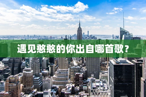 遇见憨憨的你出自哪首歌？