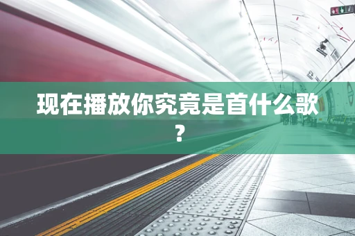 现在播放你究竟是首什么歌？