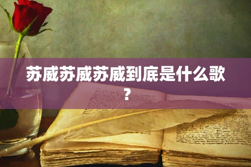 苏威苏威苏威到底是什么歌？