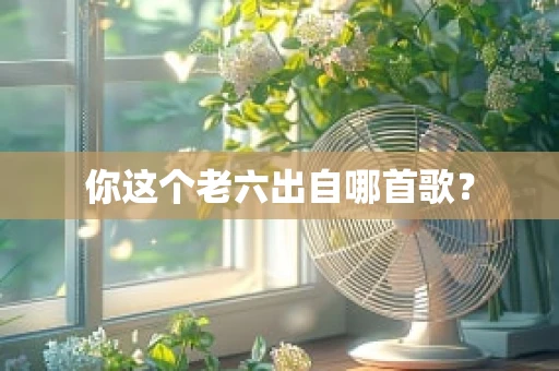 你这个老六出自哪首歌？