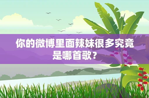 你的微博里面辣妹很多究竟是哪首歌？