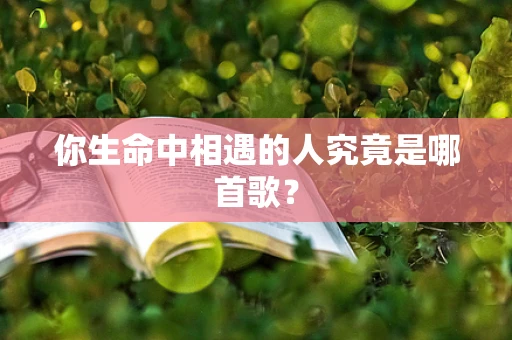 你生命中相遇的人究竟是哪首歌？