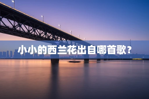 小小的西兰花出自哪首歌？