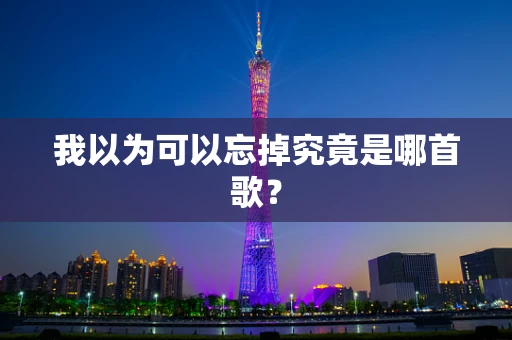 我以为可以忘掉究竟是哪首歌？