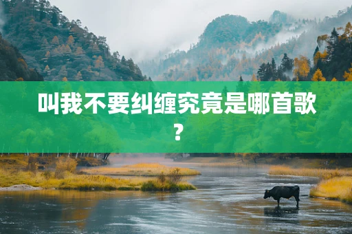 叫我不要纠缠究竟是哪首歌？