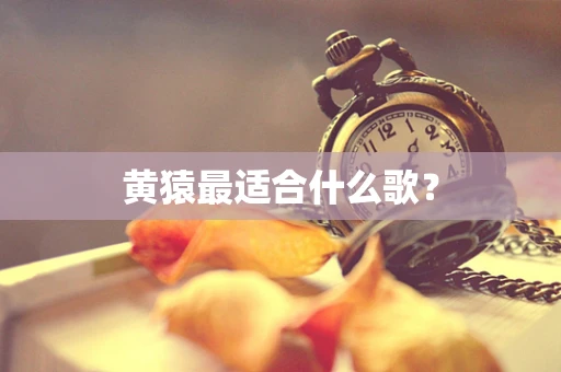 黄猿最适合什么歌？