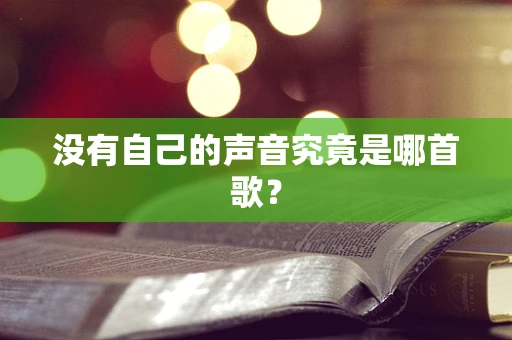 没有自己的声音究竟是哪首歌？
