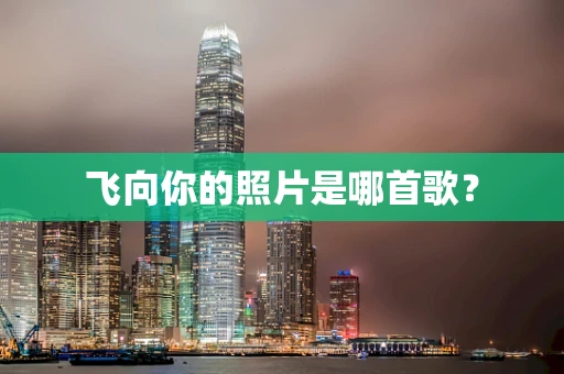飞向你的照片是哪首歌？