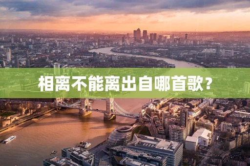 相离不能离出自哪首歌？