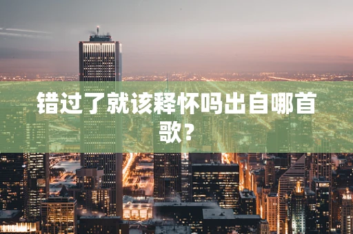 错过了就该释怀吗出自哪首歌？