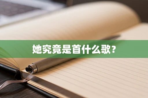 她究竟是首什么歌？