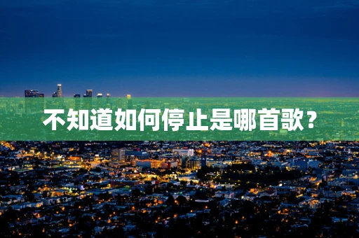 不知道如何停止是哪首歌？