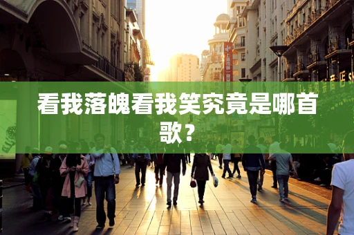 看我落魄看我笑究竟是哪首歌？