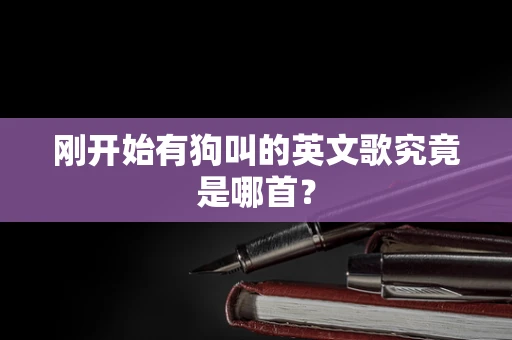 刚开始有狗叫的英文歌究竟是哪首？