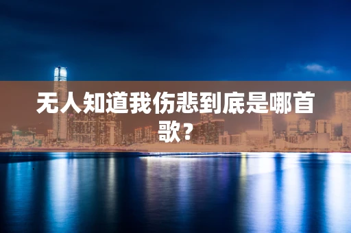 无人知道我伤悲到底是哪首歌？