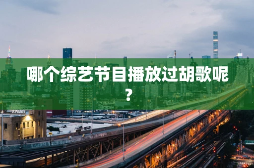 哪个综艺节目播放过胡歌呢？