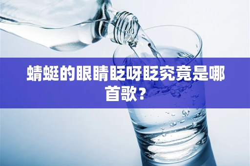 蜻蜓的眼睛眨呀眨究竟是哪首歌？