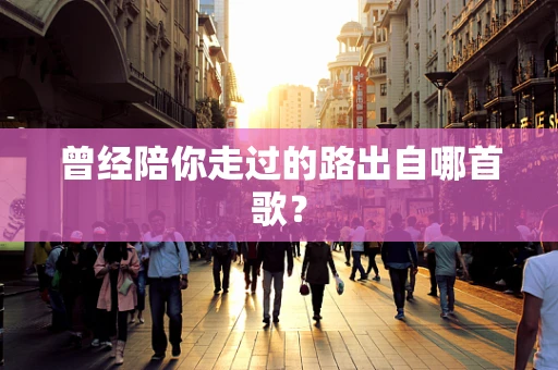 曾经陪你走过的路出自哪首歌？