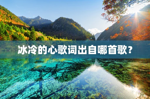 冰冷的心歌词出自哪首歌？