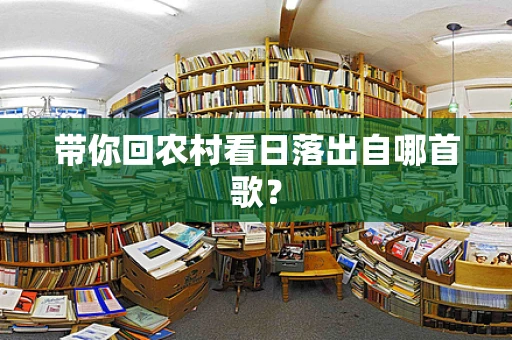 带你回农村看日落出自哪首歌？