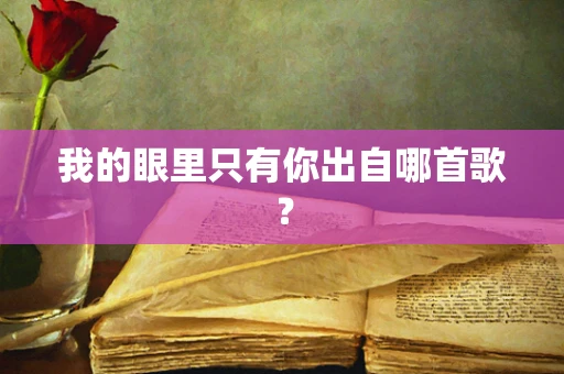 我的眼里只有你出自哪首歌？