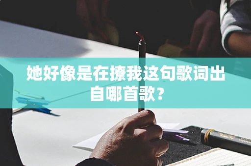 她好像是在撩我这句歌词出自哪首歌？
