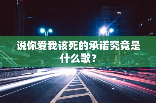 说你爱我该死的承诺究竟是什么歌？