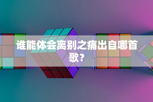 谁能体会离别之痛出自哪首歌？
