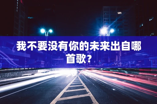 我不要没有你的未来出自哪首歌？