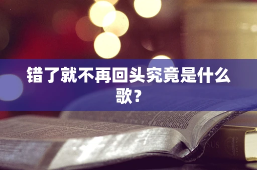 错了就不再回头究竟是什么歌？