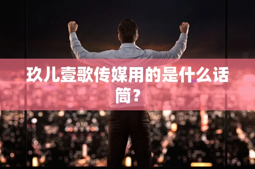 玖儿壹歌传媒用的是什么话筒？