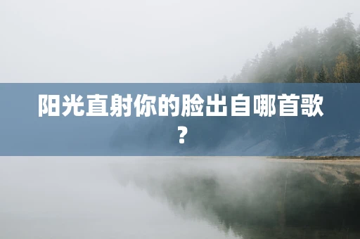 阳光直射你的脸出自哪首歌？