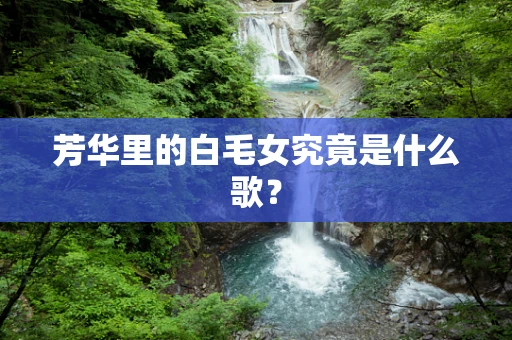 芳华里的白毛女究竟是什么歌？
