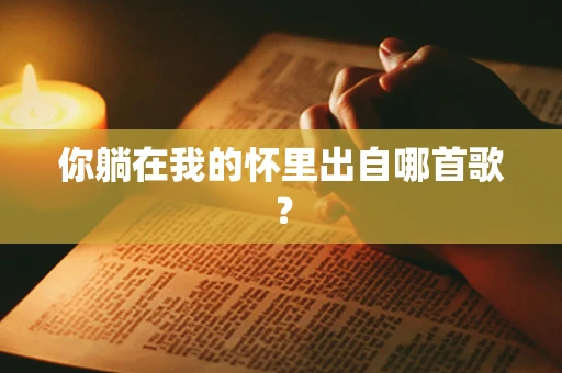 你躺在我的怀里出自哪首歌？