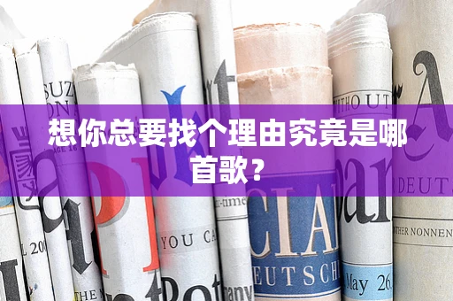想你总要找个理由究竟是哪首歌？
