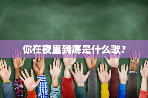 你在夜里到底是什么歌？