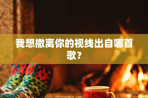 我想撤离你的视线出自哪首歌？