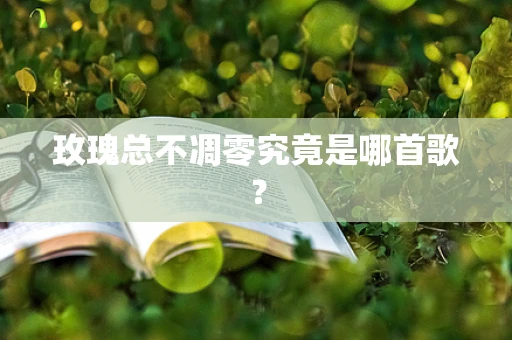 玫瑰总不凋零究竟是哪首歌？