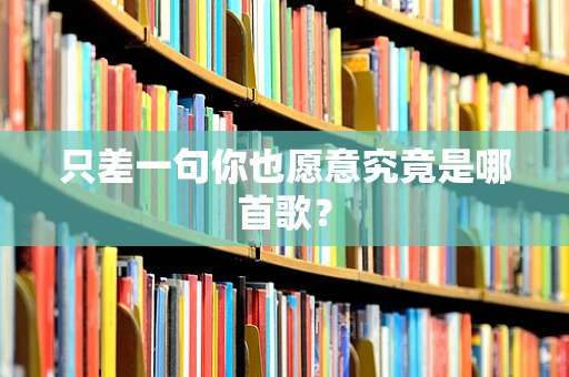 只差一句你也愿意究竟是哪首歌？