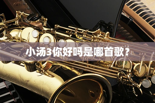 小汤3你好吗是哪首歌？