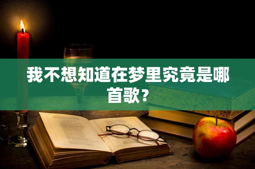 我不想知道在梦里究竟是哪首歌？