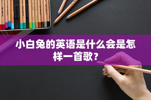 小白兔的英语是什么会是怎样一首歌？