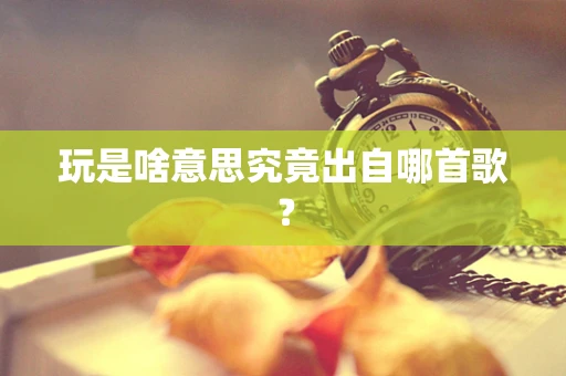 玩是啥意思究竟出自哪首歌？