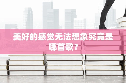 美好的感觉无法想象究竟是哪首歌？