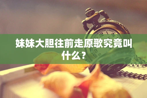 妹妹大胆往前走原歌究竟叫什么？