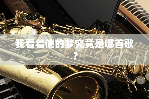 我看着他的梦究竟是哪首歌？