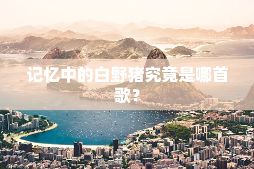 记忆中的白野猪究竟是哪首歌？