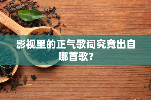 影视里的正气歌词究竟出自哪首歌？