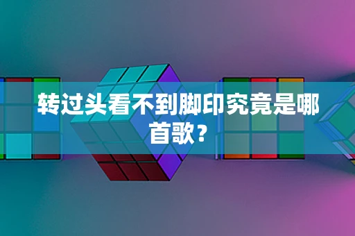 转过头看不到脚印究竟是哪首歌？